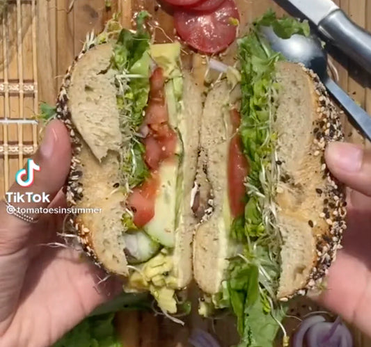 Xtreme Regret Everything Bagel | Elijah's Xtreme