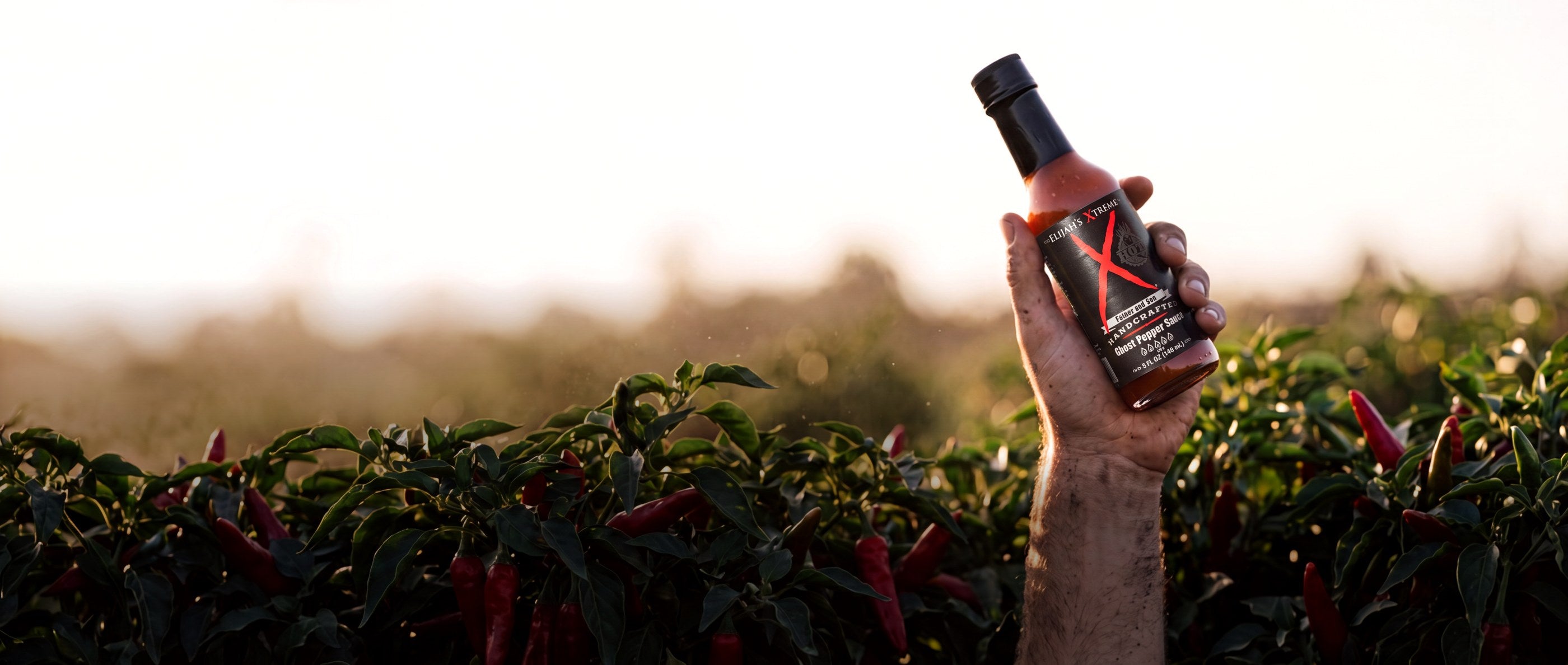 Bret and Elijah Morey holding up Elijah's Xtreme hot sauce bottles in a pepper field at golden hour